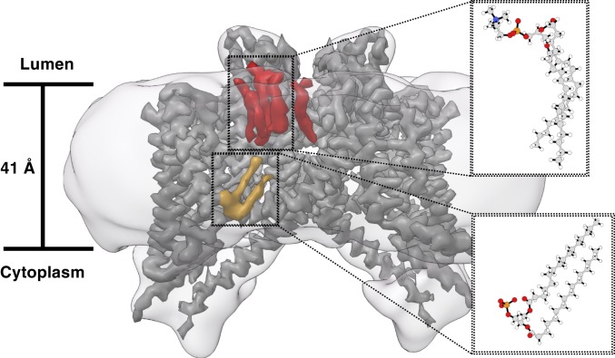 Fig. 4.