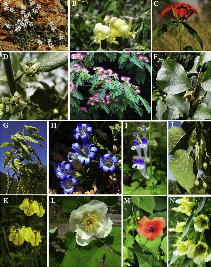 Fig. 3