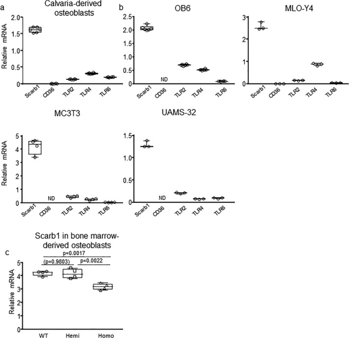 Fig 6