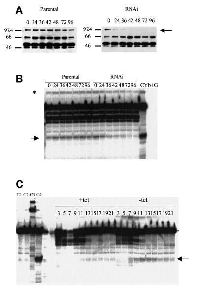 graphic file with name cdf182f5.jpg