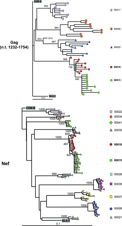 FIG. 3.