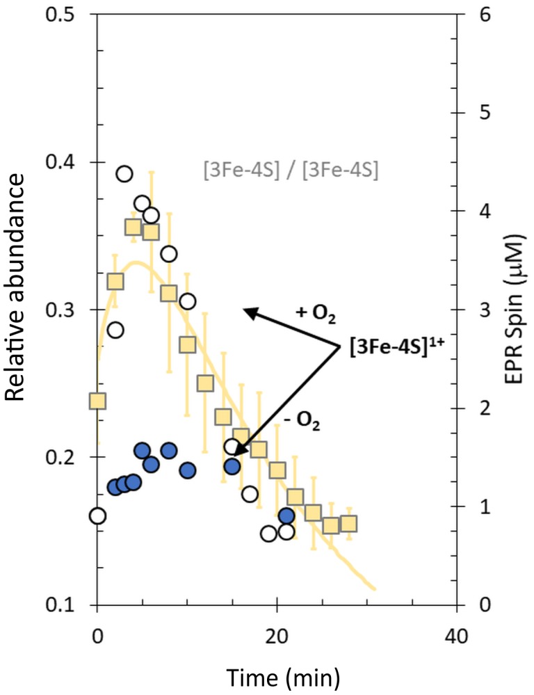 Figure 10—figure supplement 3.