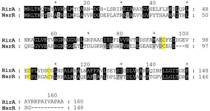 Figure 1—figure supplement 1.