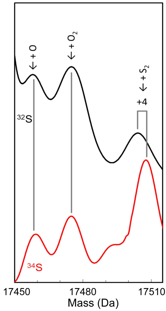 Figure 3—figure supplement 1.