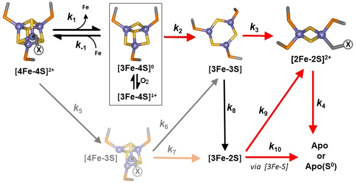 Figure 5.