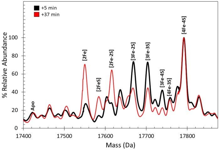 Figure 2—figure supplement 1.