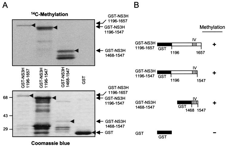 FIG. 7