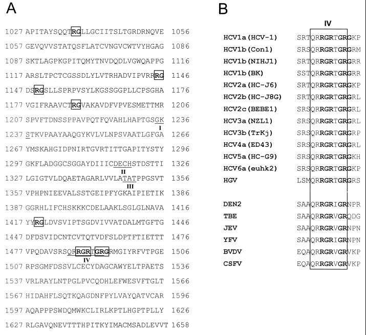 FIG. 1