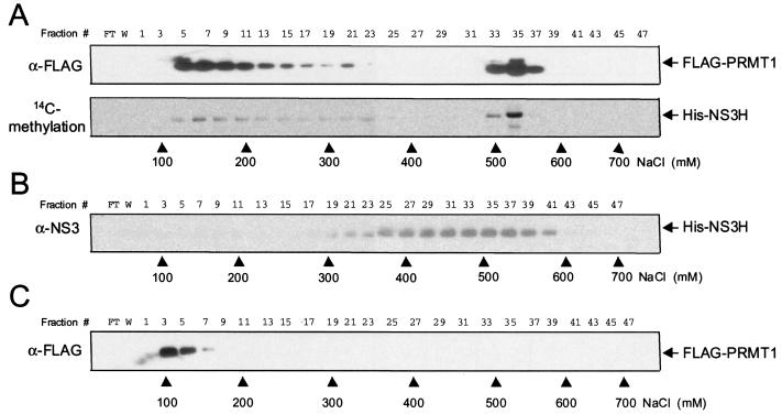 FIG. 6