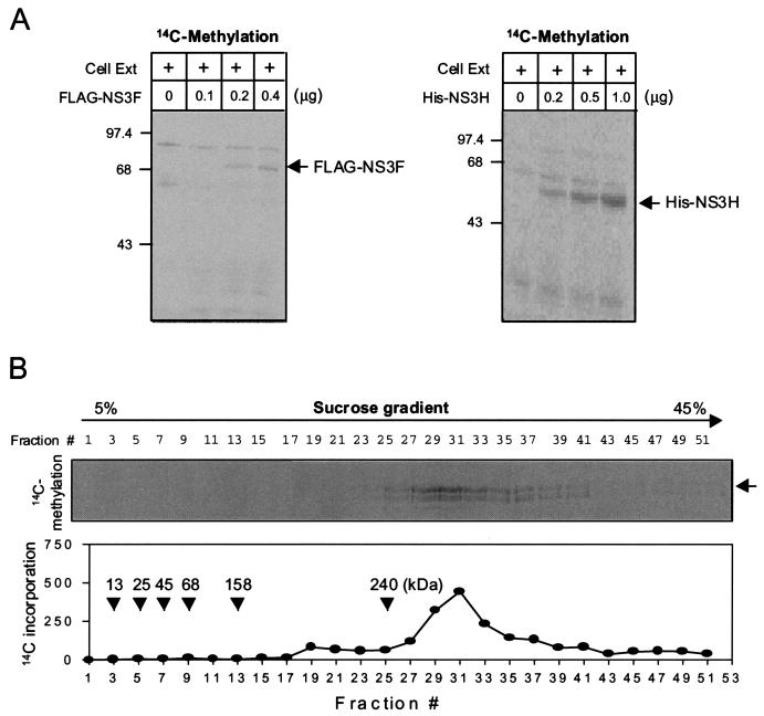 FIG. 3