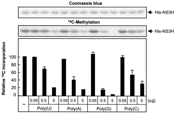 FIG. 10