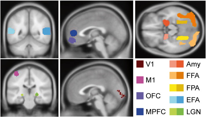 Fig. 4