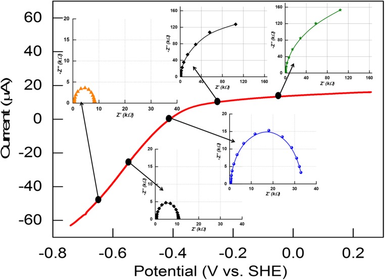 Fig. S1.