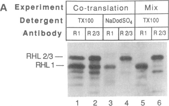 graphic file with name pnas01037-0453-a.jpg