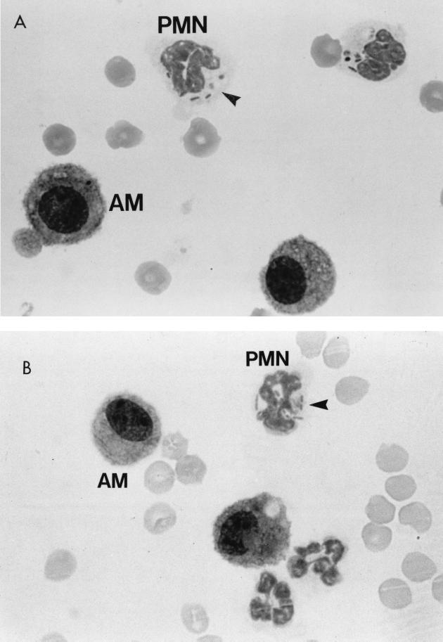 FIG. 5