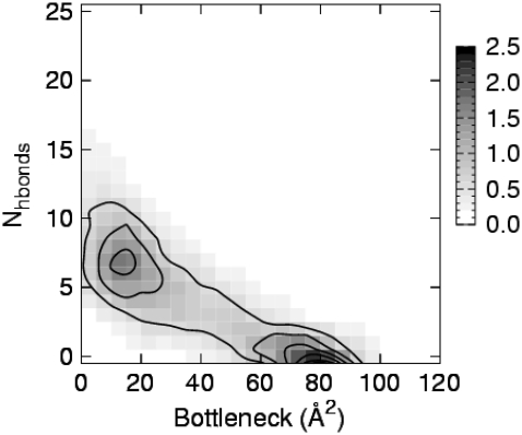 FIGURE 11