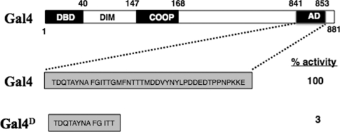 FIGURE 1.