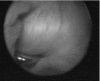 Fig. 4