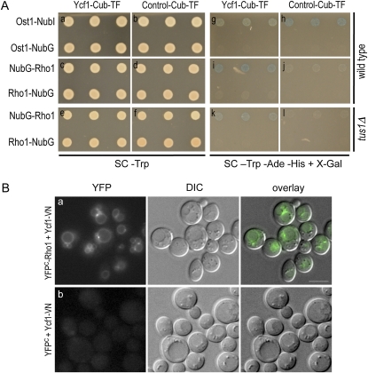 Figure 4 