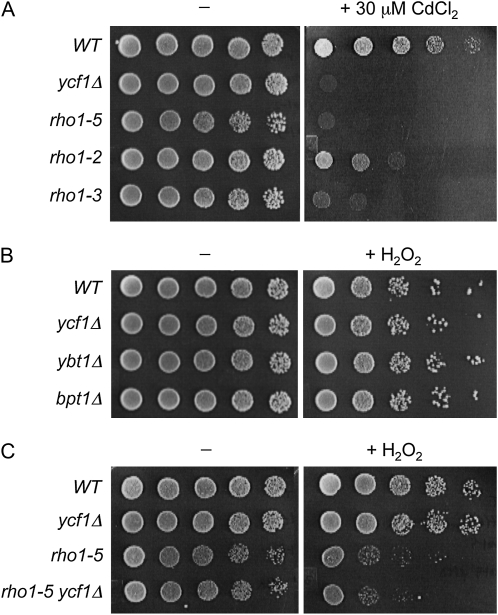 Figure 9 