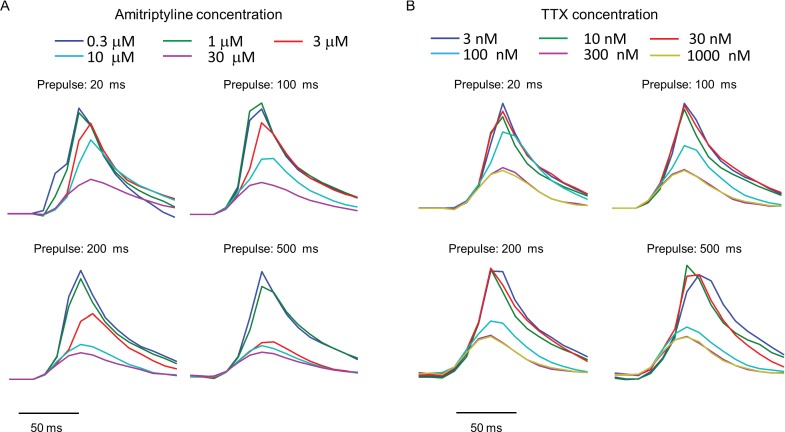 Figure 3—figure supplement 1.