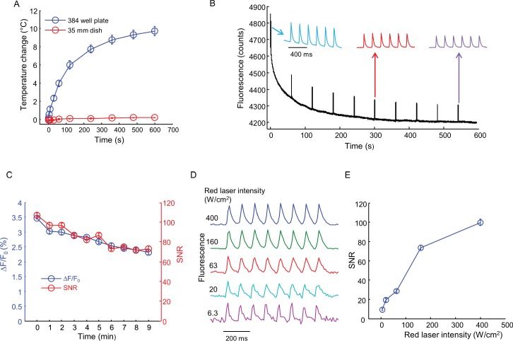 Figure 2—figure supplement 4.