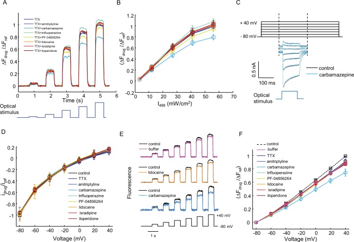 Figure 5—figure supplement 2.