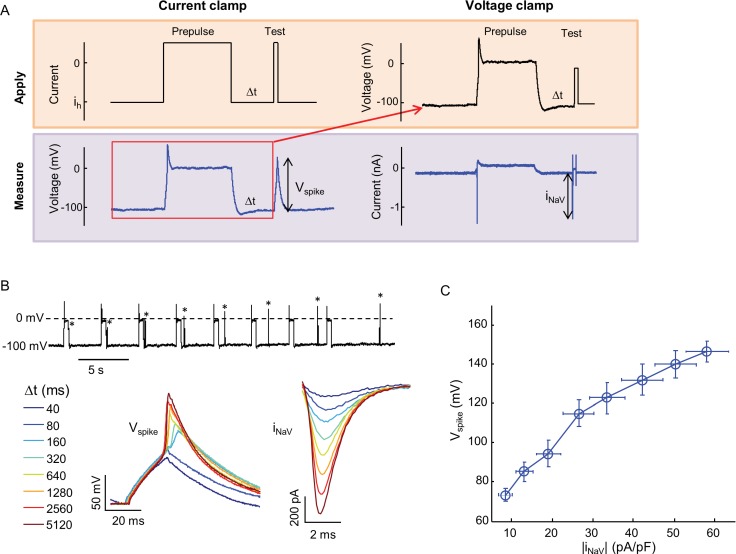 Figure 2—figure supplement 2.