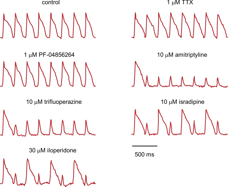 Figure 5—figure supplement 1.