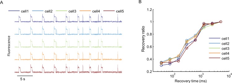 Figure 2—figure supplement 3.