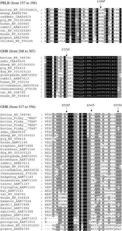 Figure 2.—