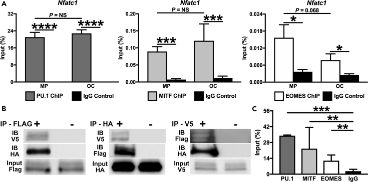 Figure 3