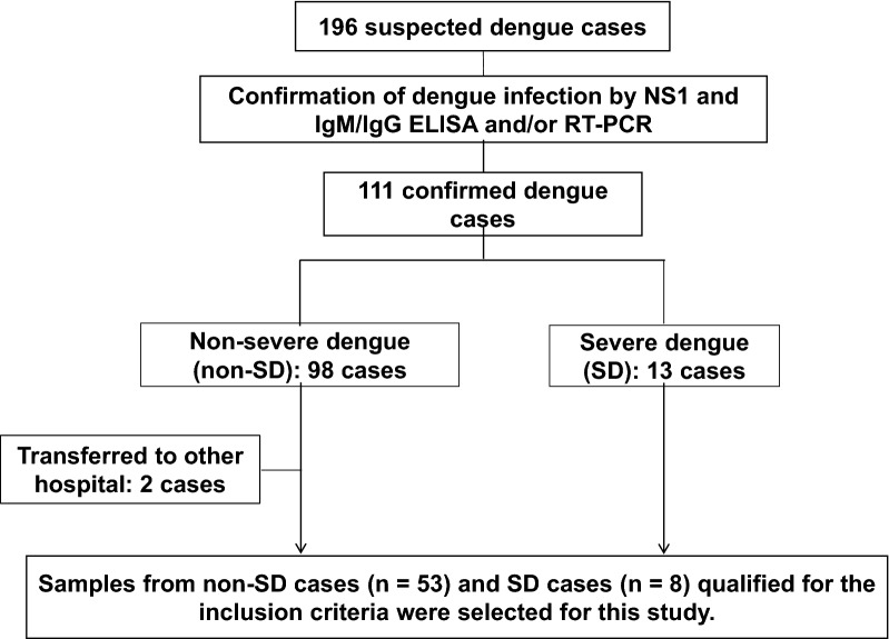 Fig. 1