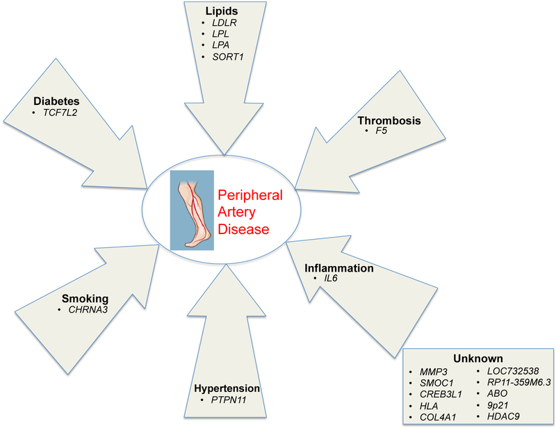 Extended Data Figure 6 -