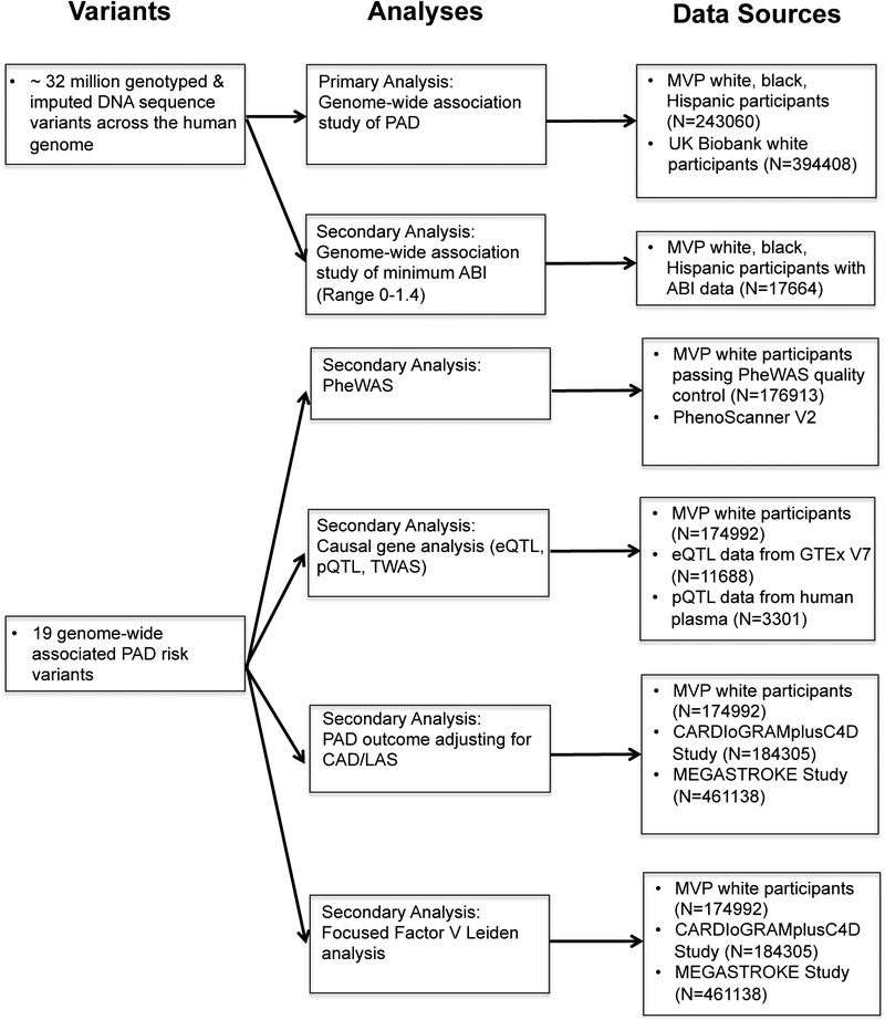 Extended Data Figure 9 -