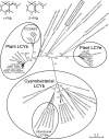 FIG. 3.