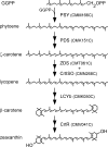 FIG. 1.