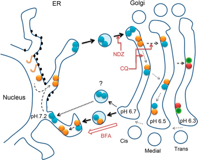 FIGURE 6.