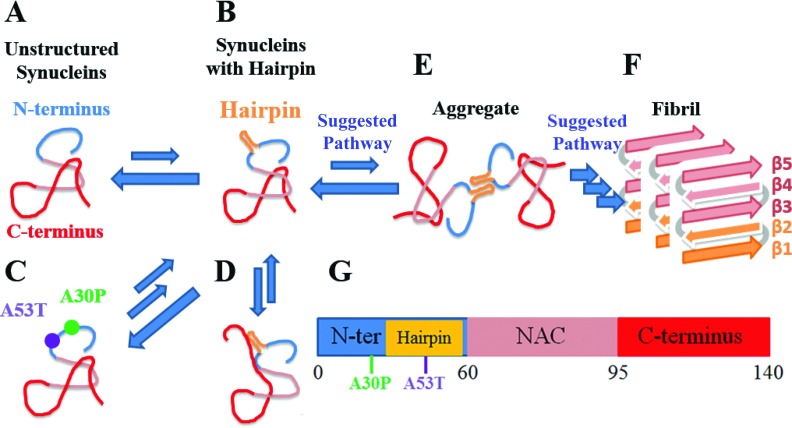 FIG. 7.