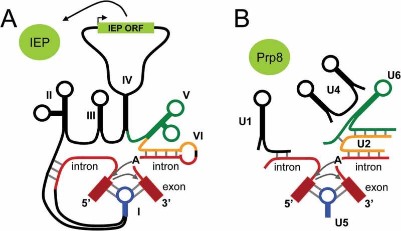 Figure 4.