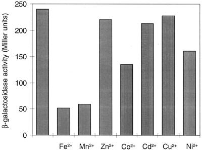 FIG. 1