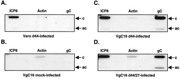 FIG. 8.