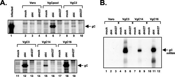 FIG. 7.