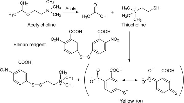 Fig. 9