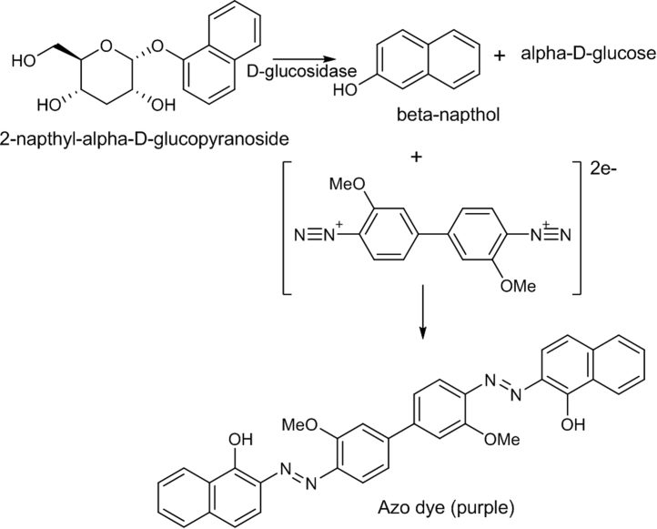 Fig. 10