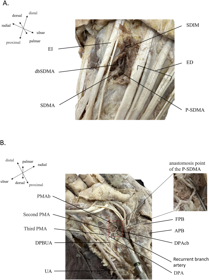 Fig. 2