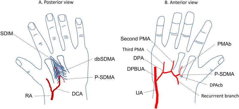 Fig. 4