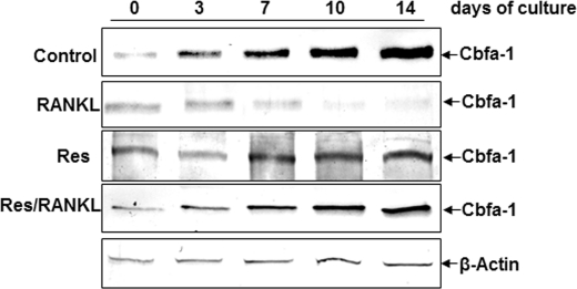 FIGURE 9.