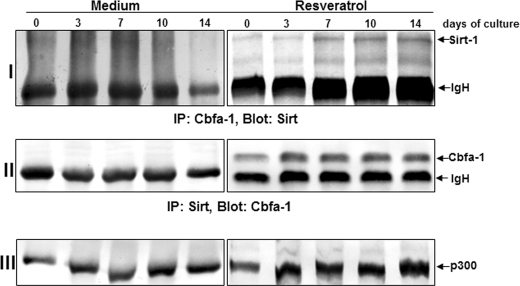 FIGURE 11.