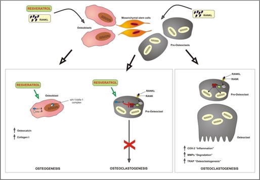 FIGURE 12.